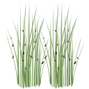 Logo aplikácie CoBang