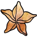 Logo Karambola