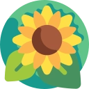 Hidamari Logosu