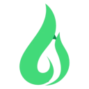apic Logo