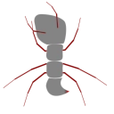 AntWare Logosu
