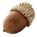 Emblemo de SQuirreL SQL Client