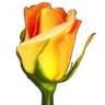 Logo de Rosegarden