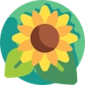 Logo de Hidamari