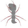 Logo de AntWare