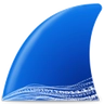 Logo Wireshark