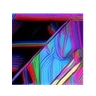 Logo de Fracture