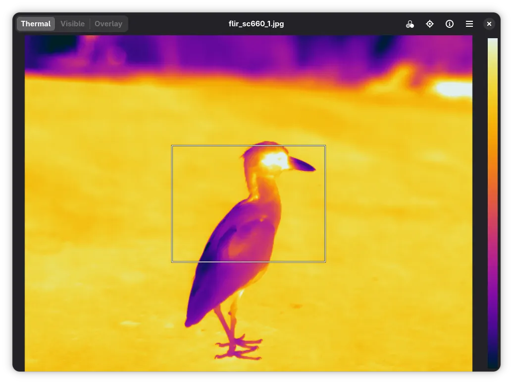 Inspect thermograms rendered with the palette embedded by the camera
