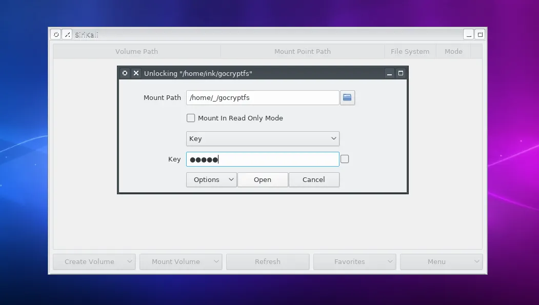 Main window with a password dialog window