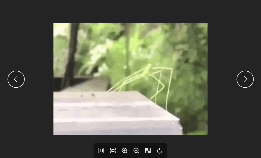 Main window when an image file is loaded