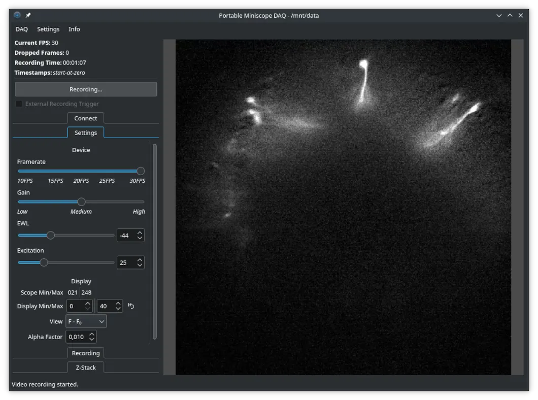 Recording a raw video of calcium activity while displaying the difference to the average background