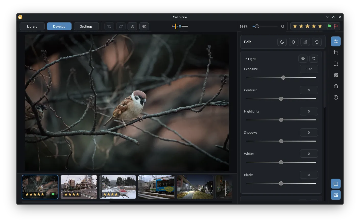 Develop RAW photos with color, tone, and local adjustment tools