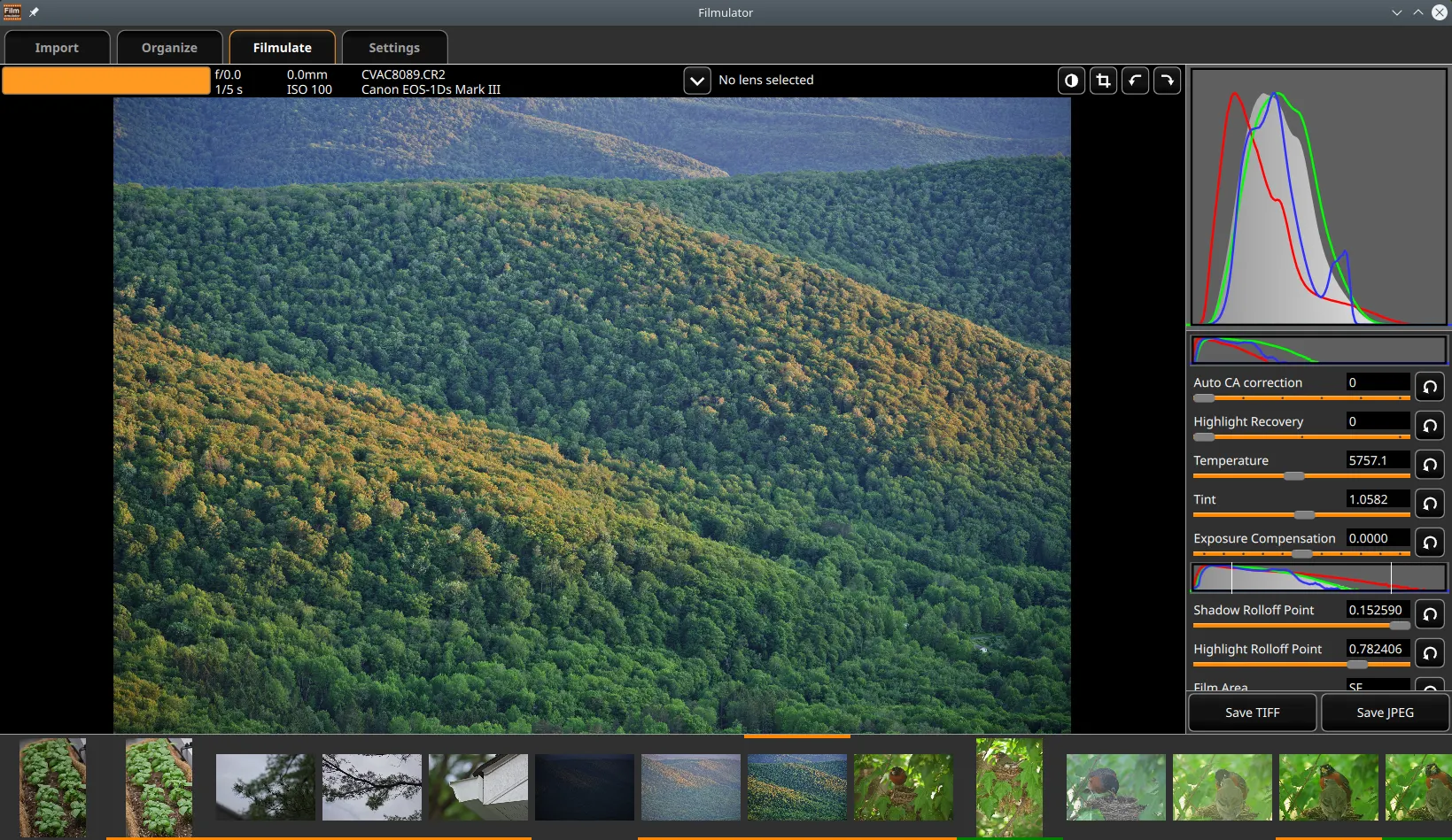 The Filmulator window