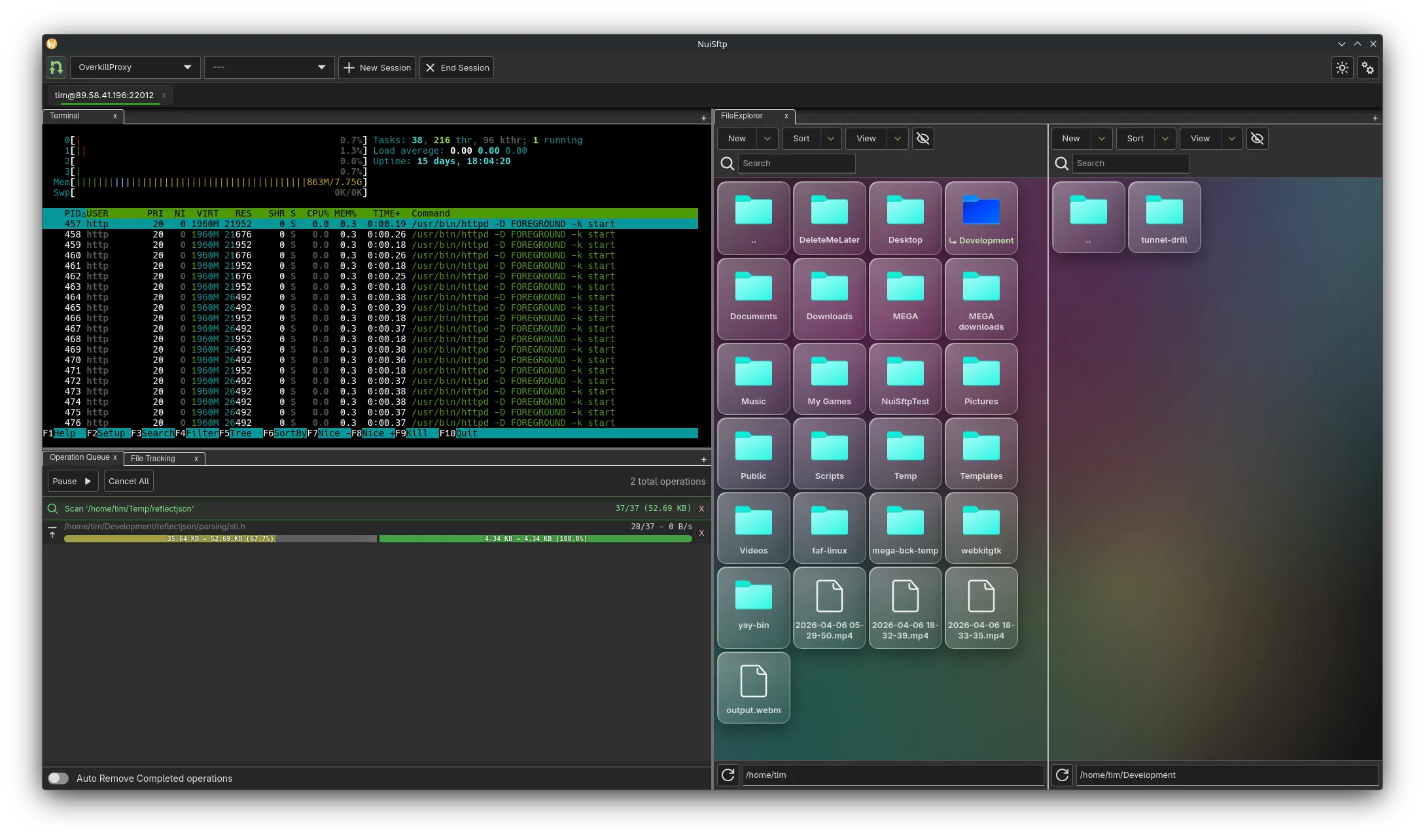 nui-sftp Main Window