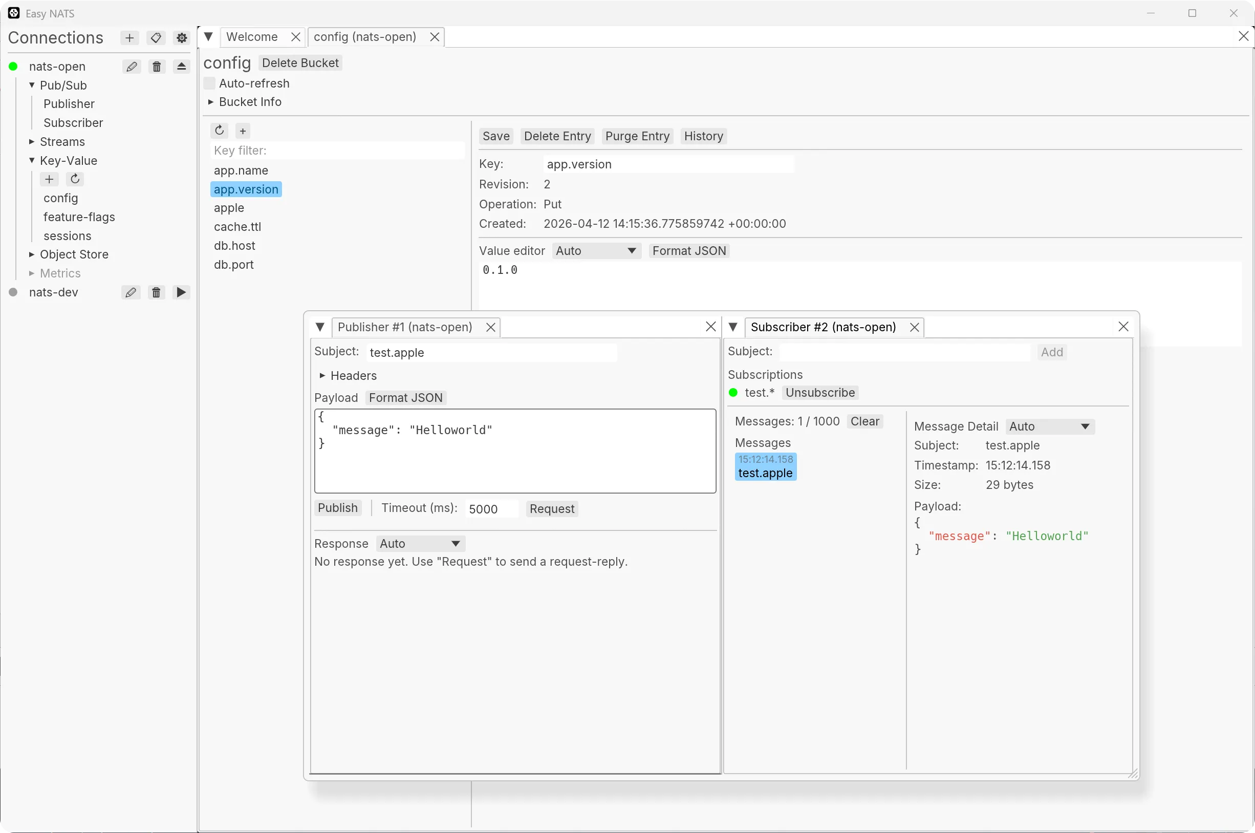 Main workspace showing connections, stream browsing, and publish controls