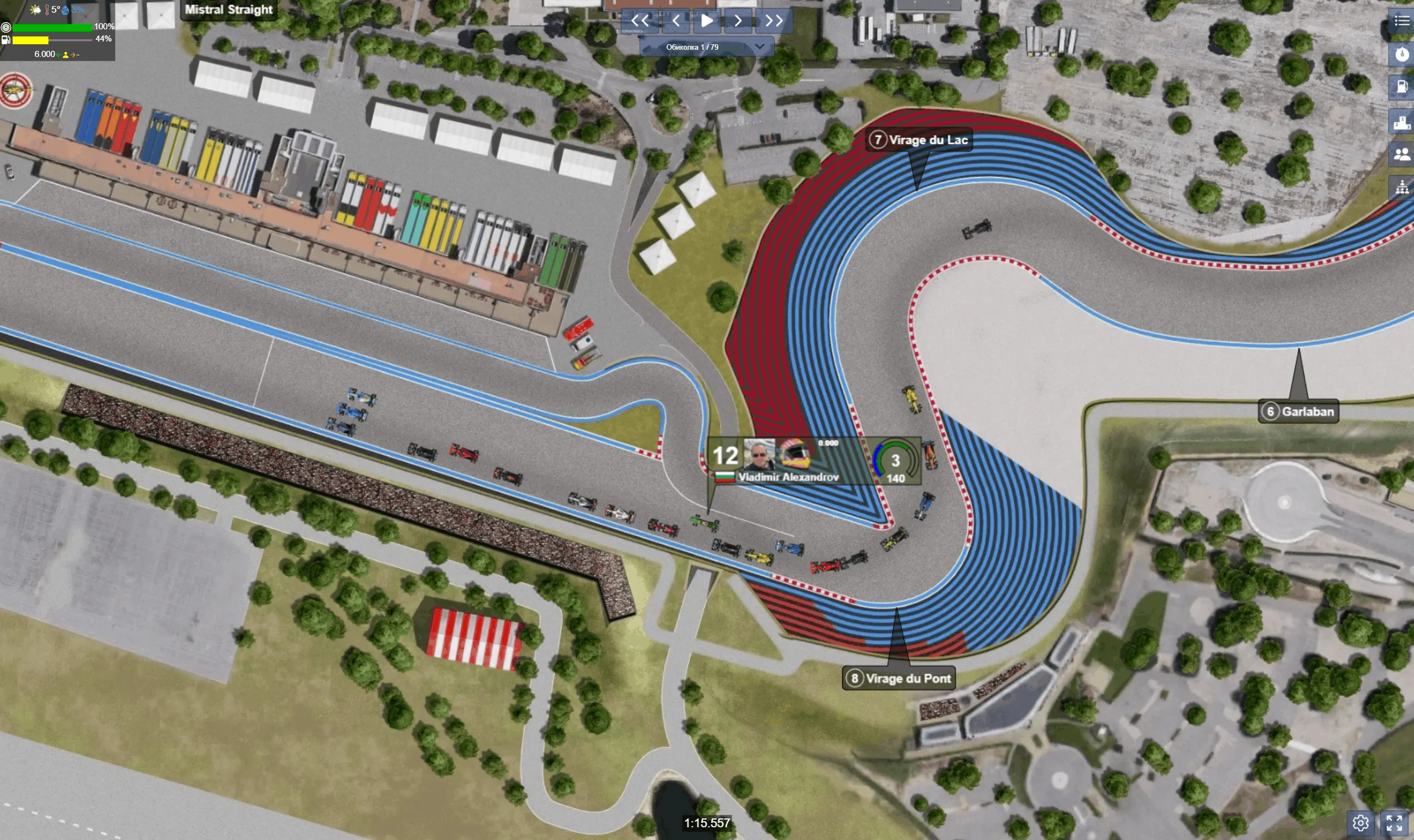 Race view