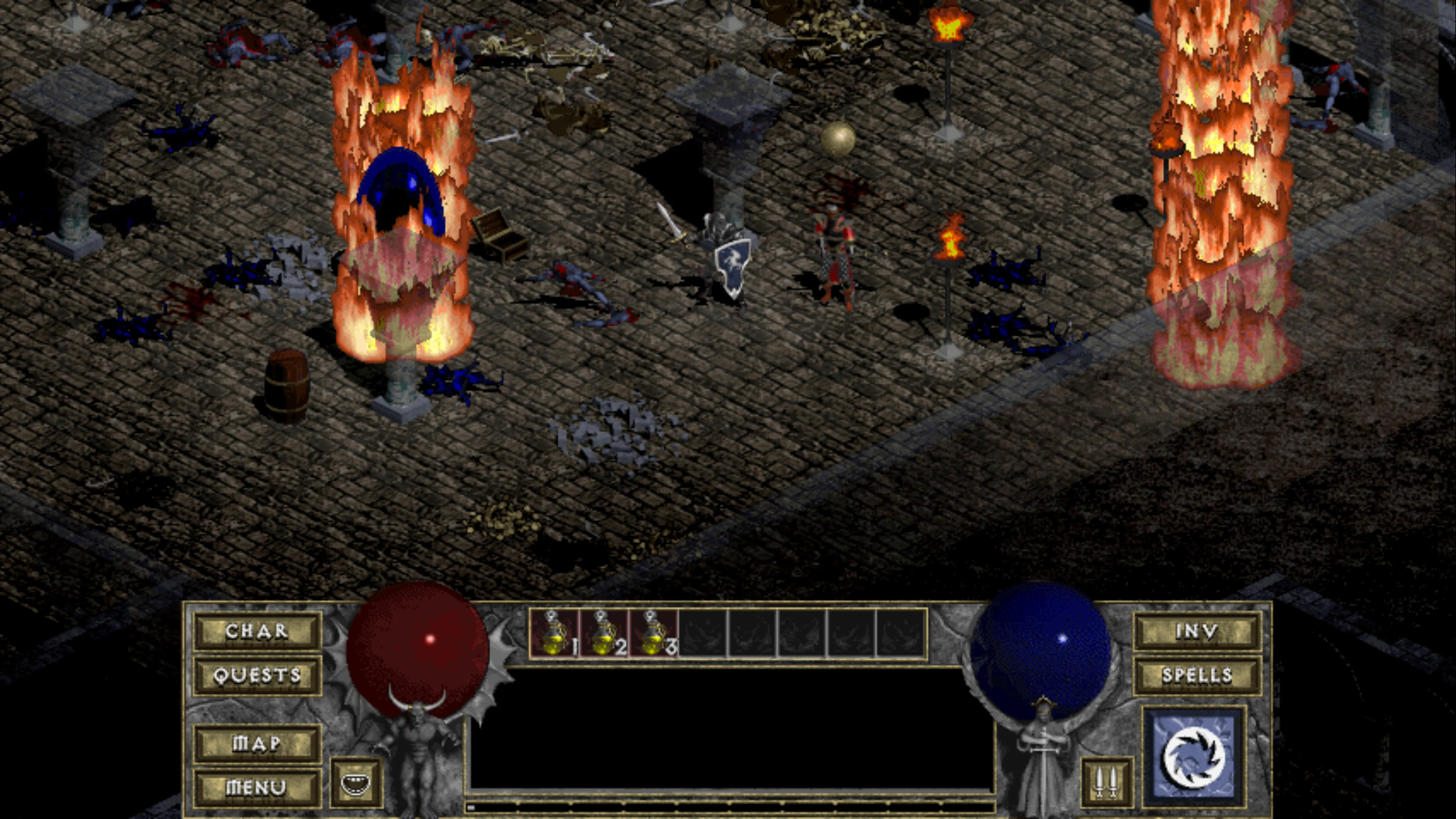 Diablo gameplay in widescreen