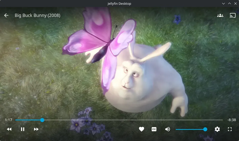 Video player