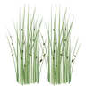 لۆگۆی CoBang
