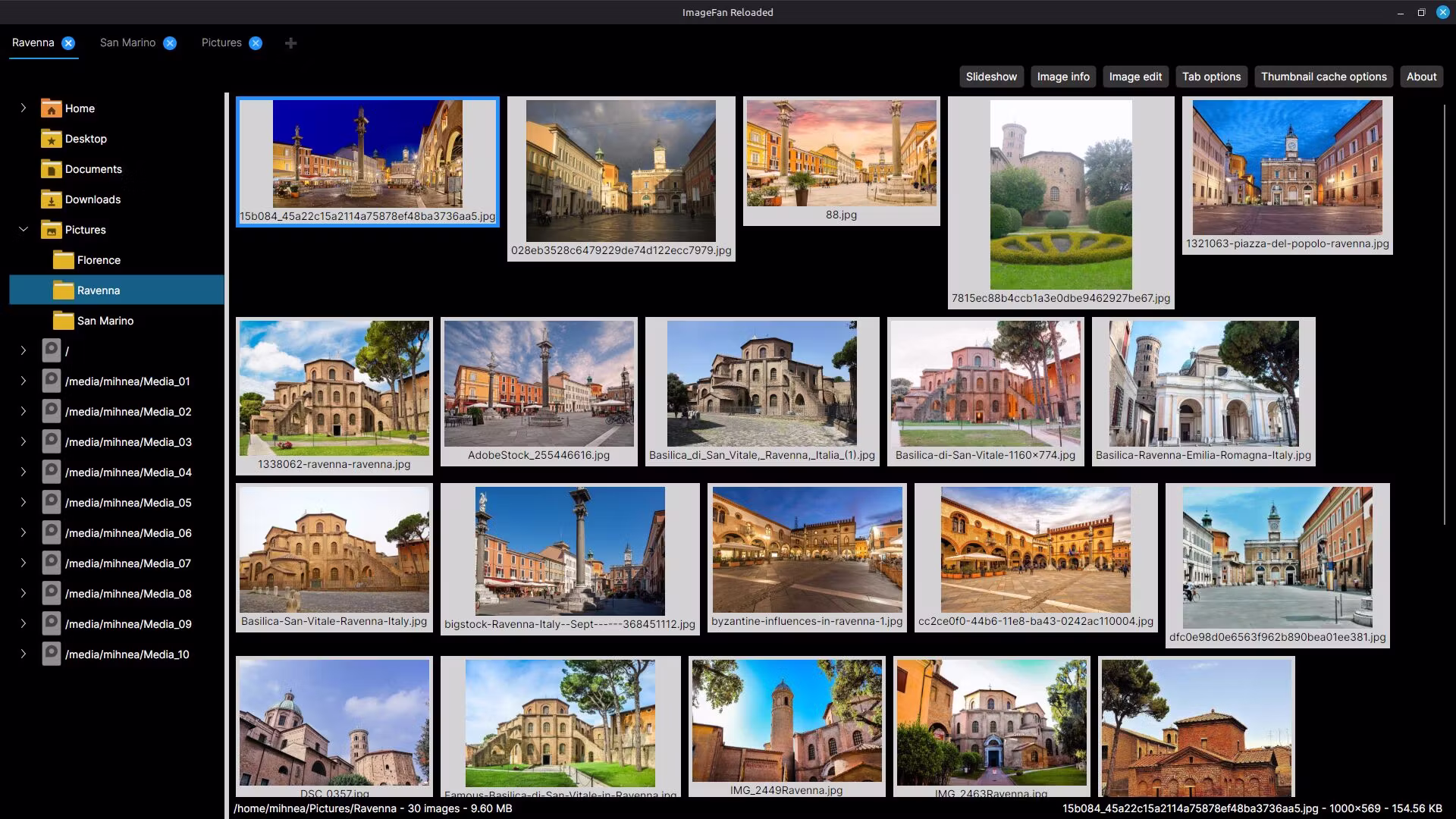 ImageFan Reloaded 1.2026.07.19 for Linux arm64